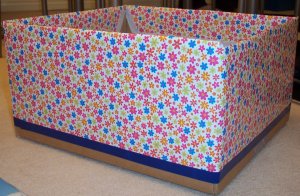 picture of the box