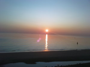 image1